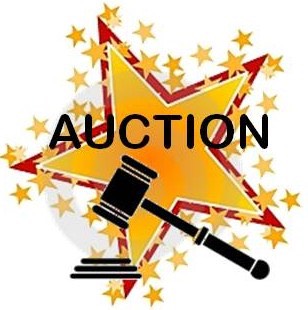 auctionimage3